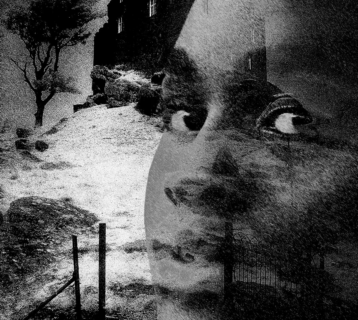Surrealistic portrait Black Castle ORIGINAL DIGITAL ART by Alex Solodov