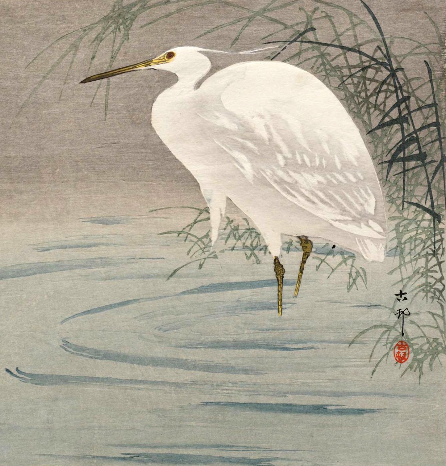 Japanese birds, herons art prints, Ohara Koson, Woodblock print, Heron in Pond FINE ART PRINT