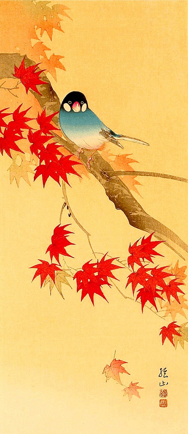Japanese art, Blue bird in autumn Ito Sozan FINE ART PRINT, ukiyo-e woodblock print, animal, birds, paintings, posters, wall art home decor
