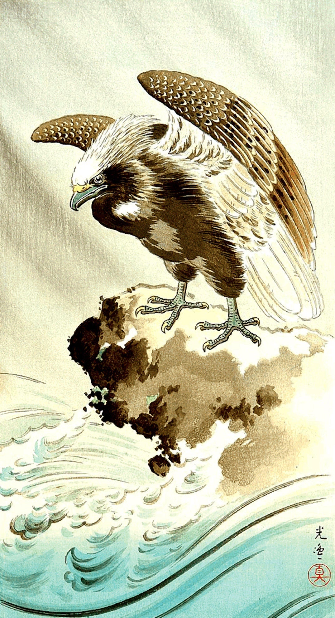 Japanese art, Eagle painting, Animal, birds prints, Eagle Tsuchiya Koitsu FINE ART PRINT. Japanese art prints, art posters, reproductions