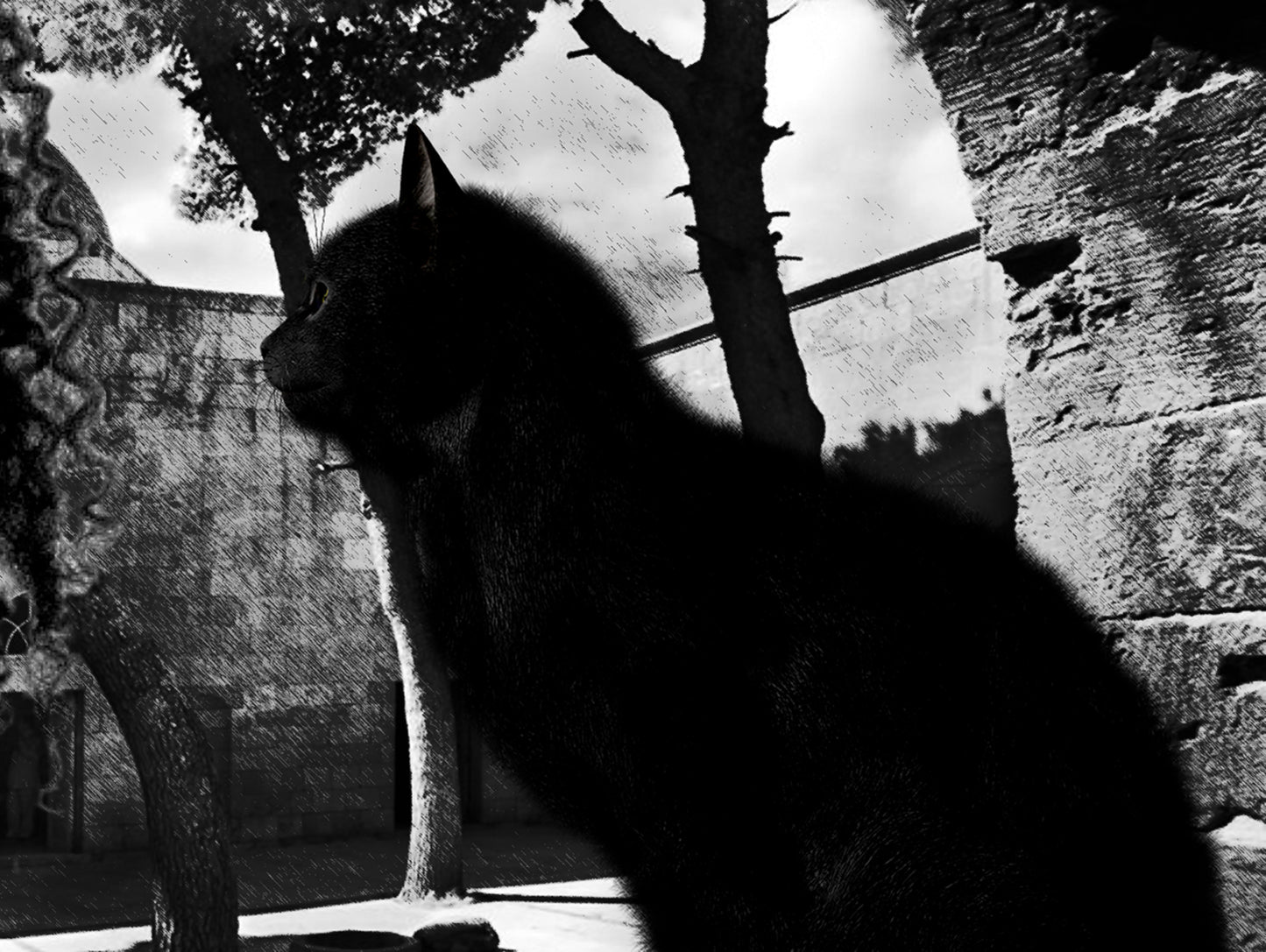 Photorealistic portrait, African girl with black cat, Oasis ORIGINAL DIGITAL ART by Alex Solodov