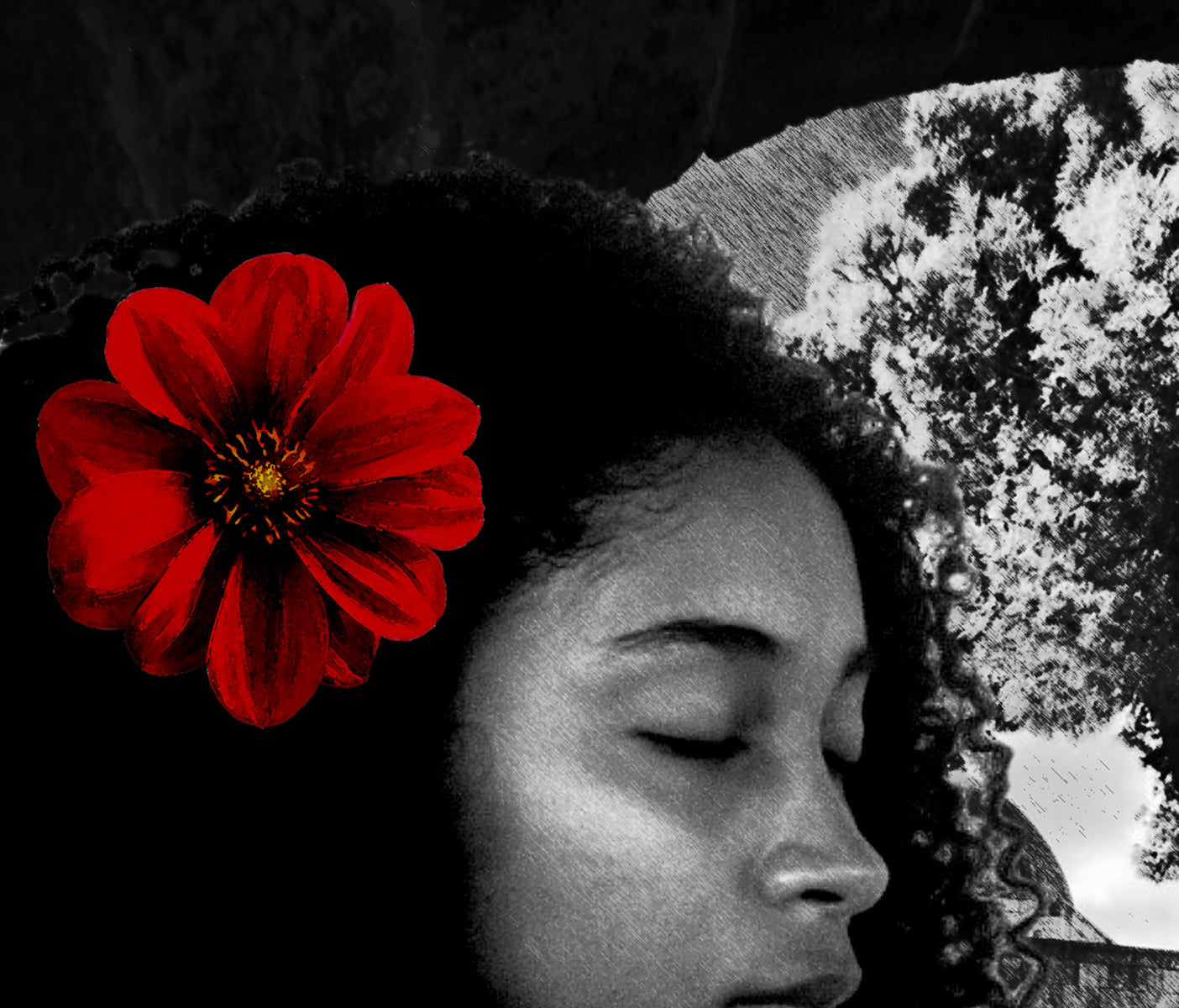 Photorealistic portrait, African girl with black cat, Oasis ORIGINAL DIGITAL ART by Alex Solodov
