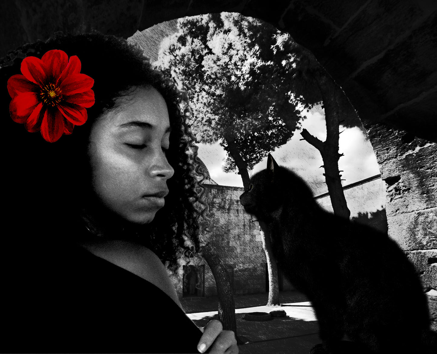 Photorealistic portrait, African girl with black cat, Oasis ORIGINAL DIGITAL ART by Alex Solodov