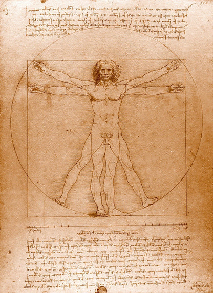 Leonardo da Vinci art, Da Vinci drawings, paintings, Human Anatomy, Vitruvian Man FINE ART PRINT, antique art prints, posters, reproductions