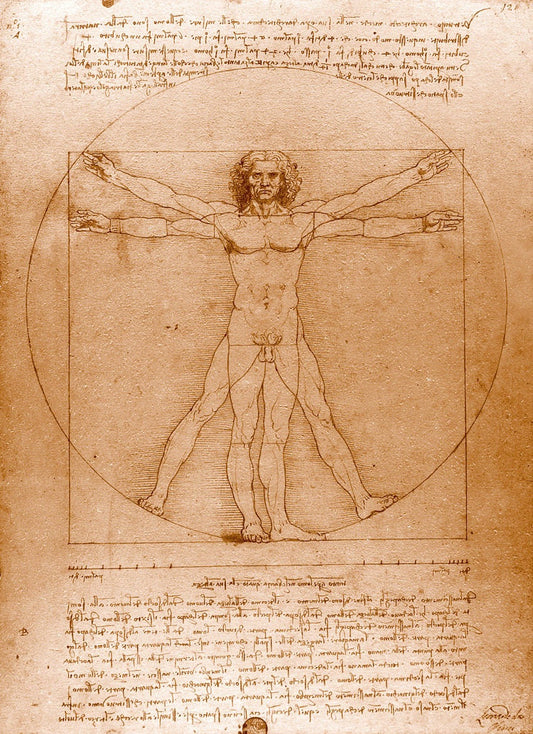 Leonardo da Vinci art, Da Vinci drawings, paintings, Human Anatomy, Vitruvian Man FINE ART PRINT, antique art prints, posters, reproductions