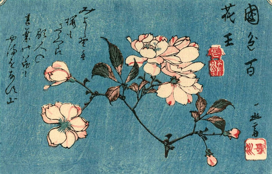 Hiroshige art prints, japanese flower antique art prints, Cherry Blossoms, Sakura Hiroshige FINE ART PRINT, woodblock prints, paintings