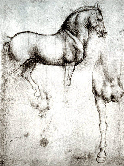 Antique art prints, Da Vinci horse sketch drawing art print, Three Equestrian Studies Leonardo da Vinci FINE ART PRINT, drawing reproduction