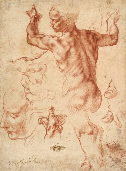 Studies Libyan Sybil Michelangelo Buonarroti drawing FINE ART PRINT, antique european art, italian art, drawings, renaissance reproductions