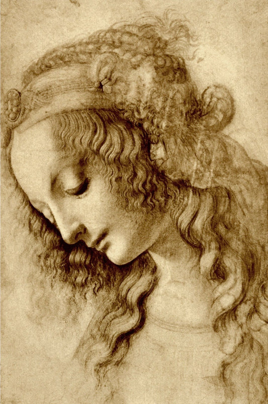 European art, Leonardo da Vinci paintings, drawings, Renaissance antique art prints, posters, Woman in profile, Head of a Woman, ART PRINT