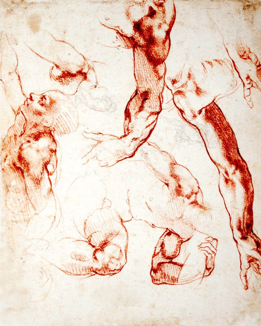 Studies of figures and limbs Michelangelo art drawing FINE ART RTINT, antique european art, italian art, drawings, renaissance reproductions