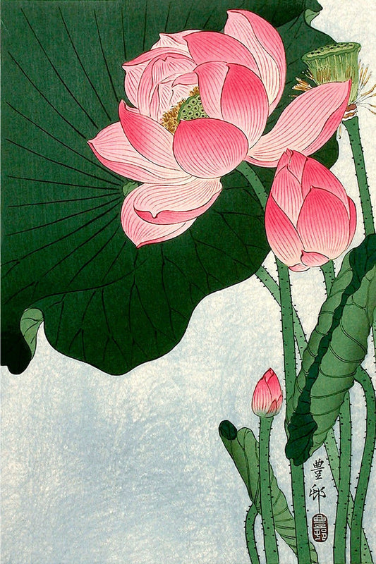 Japanese art prints, japanese flowers botanical art print, Flowering lotus Ohara Shoson FINE ART PRINT, woodblock prints, paintings, posters