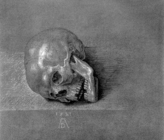 Skull drawings, European art, Antique vintage prints, Art posters, Skull Albrecht Dürer FINE ART PRINT, Renaissance, Reproductions, Wall art