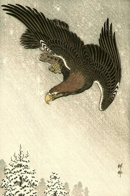 Japanese art, Eagle paintings, Animal, birds prints, Eagle flying in snow Shoson FINE ART PRINT. Japanese prints, art posters, reproductions