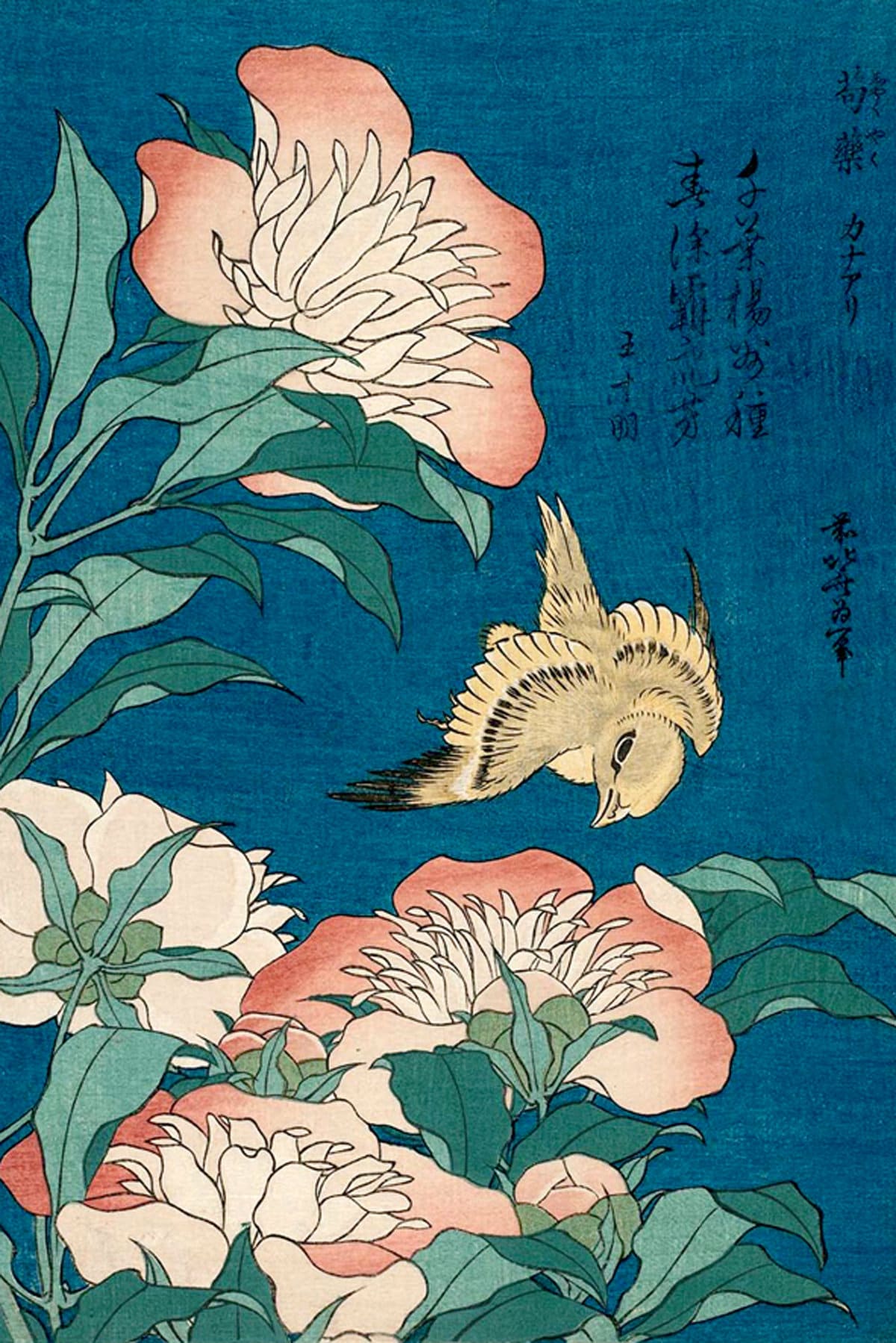 Japanese art prints, Birds flowers 12 prints set Hokusai FINE ART PRINTS, Japanese woodblock prints, ukiyo-e, paintings reproductions, cards