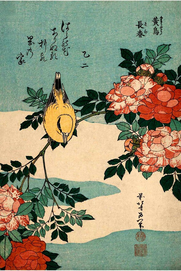 Japanese art prints, Birds flowers 12 prints set Hokusai FINE ART PRINTS, Japanese woodblock prints, ukiyo-e, paintings reproductions, cards