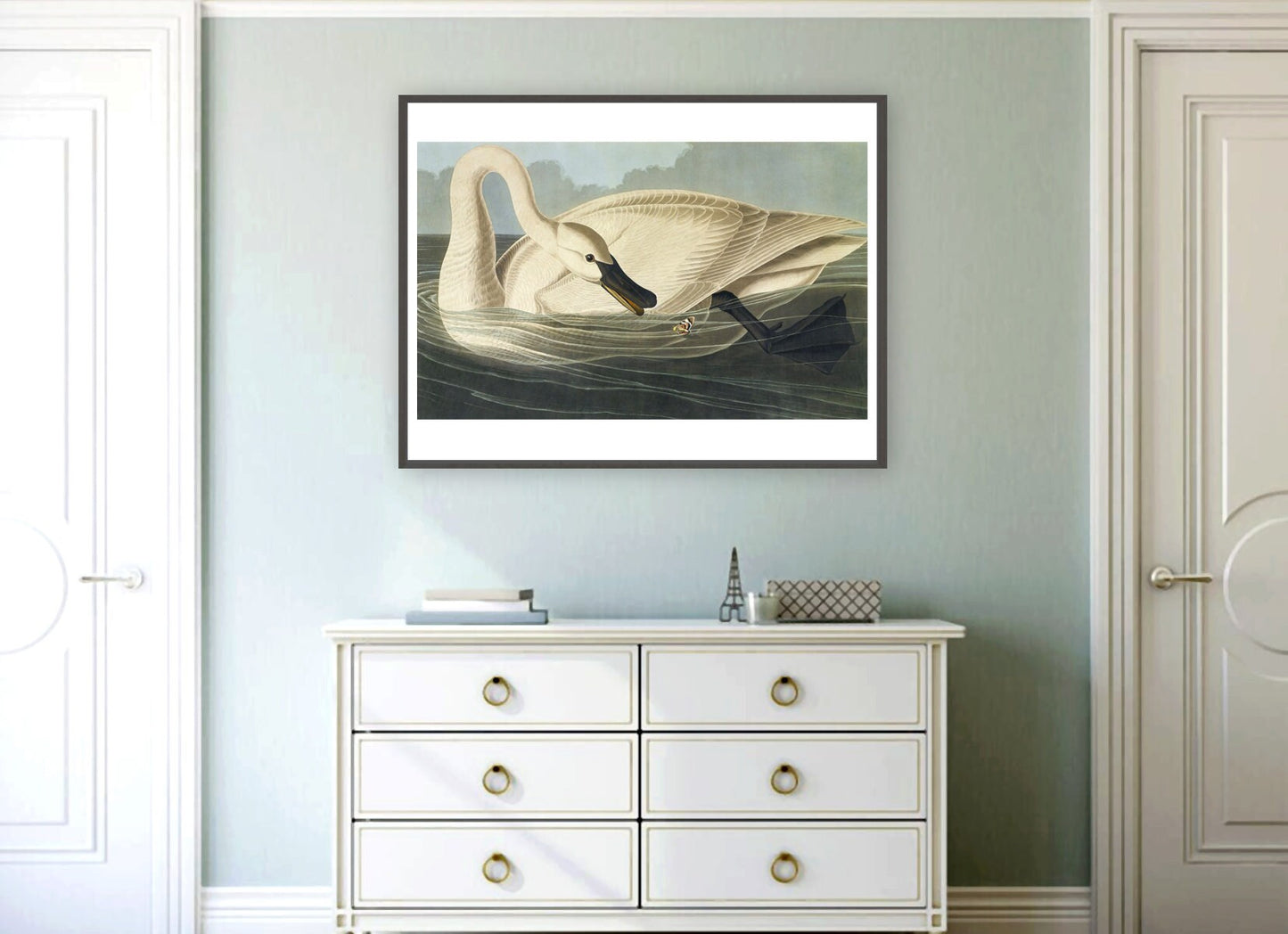 American animal art, birds illustrations, Swan and butterfly John James Audobon FINE ART PRINT, birds, swans art prints, posters, paintings