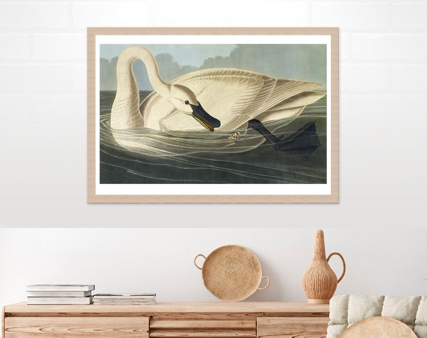 American animal art, birds illustrations, Swan and butterfly John James Audobon FINE ART PRINT, birds, swans art prints, posters, paintings