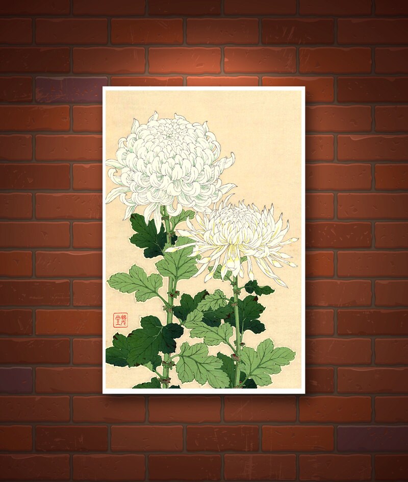 Japanese art, flowers floral botanical art prints, White Chrysanthemums FINE ART PRINT, japan flower woodblock prints, posters, paintings