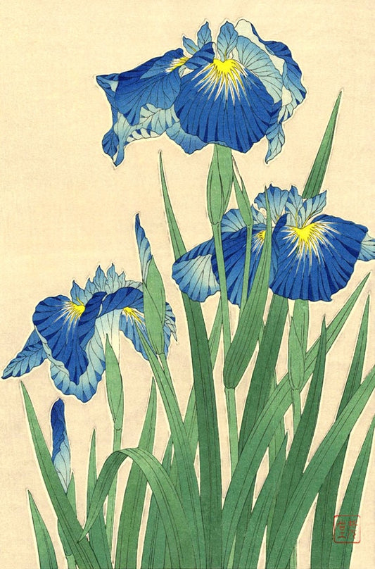 Japanese art, Flowers floral plants botanical art prints, posters, Japanese Irises FINE ART PRINT, japan flowers woodblock prints, paintings