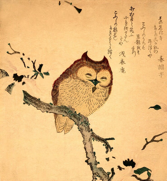 Japanese art, Owl and magnolia FINE ART PRINT, old antique ukiyo-e woodblock print reproduction, Japanese animal art, birds paintings