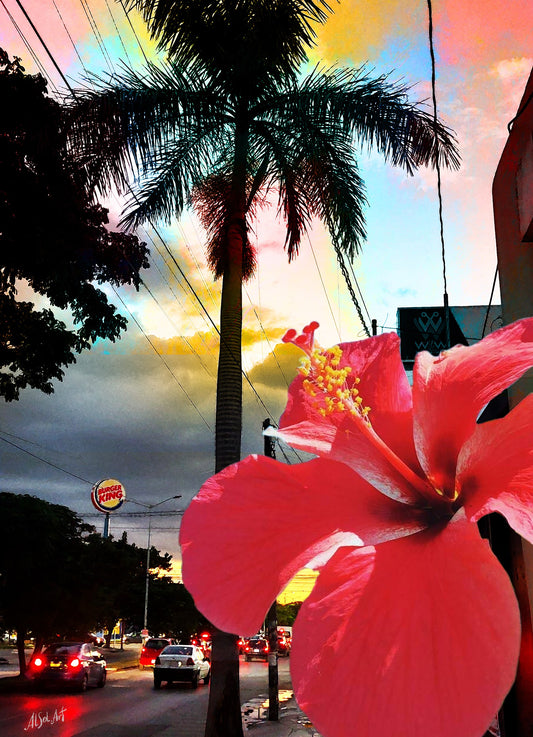 Tropical art, Travel photography, Sunset in Merida ORIGINAL DIGITAL ART by Alex Solodov